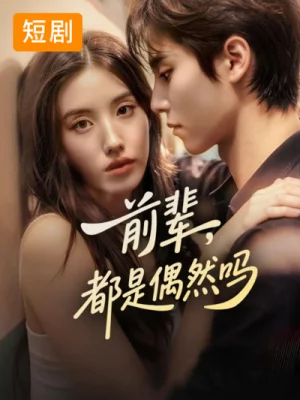 前辈,都是偶然吗