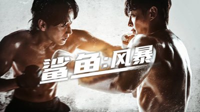 年度爽剧《鲨鱼：风暴》全集上线！金玟锡 vs 李贤旭巅峰对决，生存动作剧天花板看点
